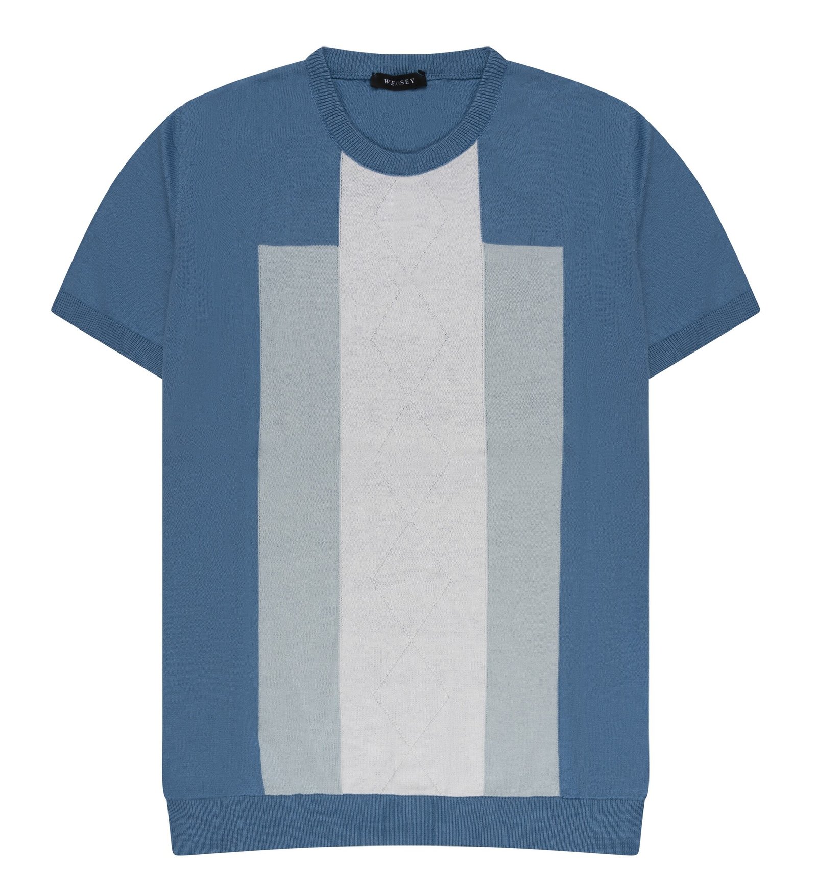 Stijlvol Blauw T-shirt met Verticale Strepen, Slim Fit Poloshirt voor Heren, Casual Kleding